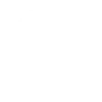 Logo Almaz White